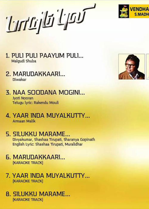 Paayum Puli Paayum Puli