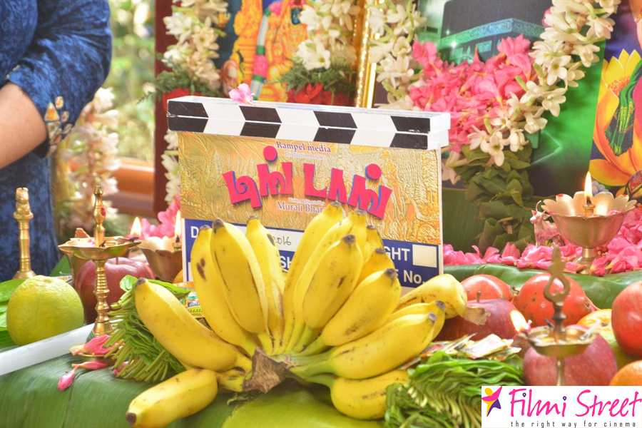 Ding Dong movie pooja stills 