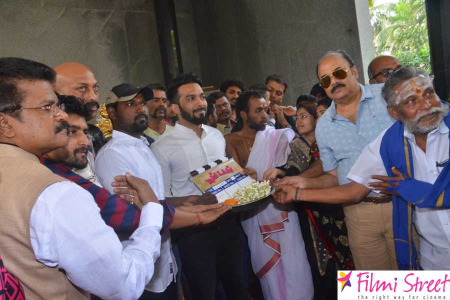 Ding Dong movie pooja stills (20)