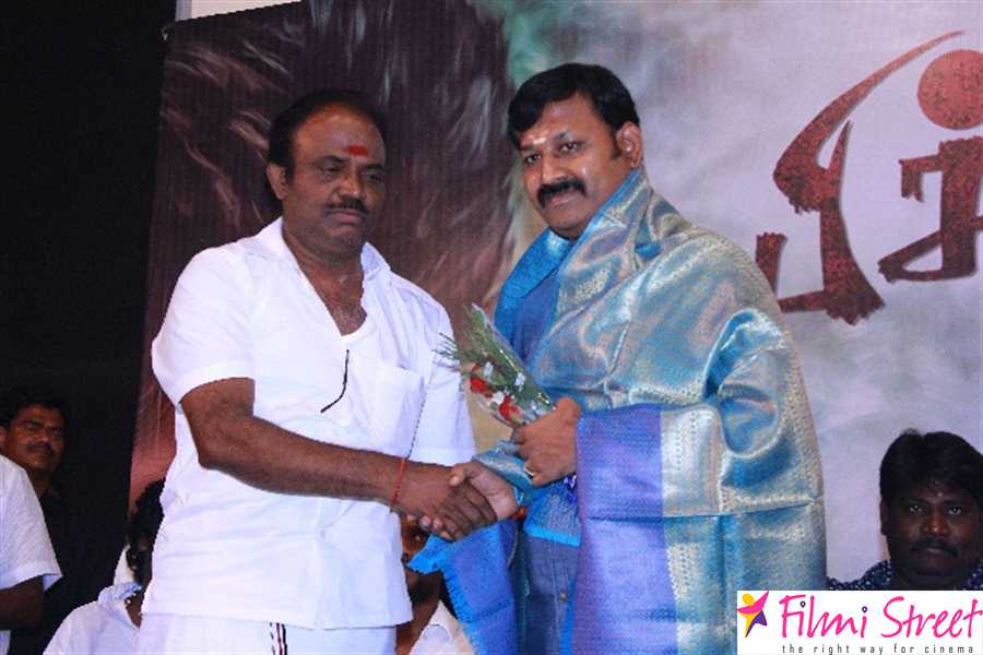 Pichuva Kaththi audio launch photos (83)