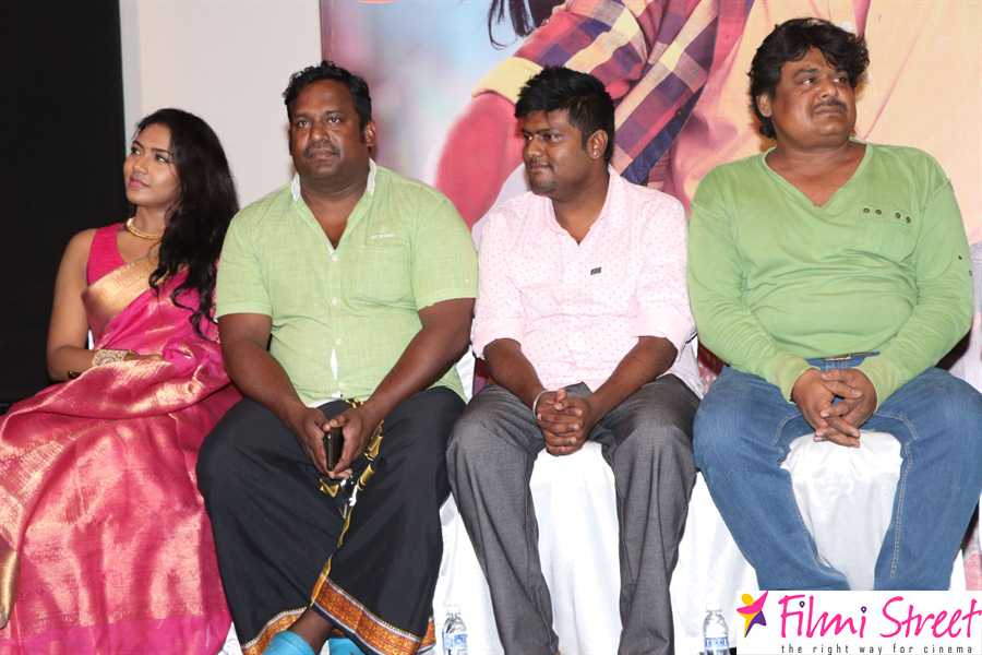 Saravanan Irukka Bayamaen Press Meet Photos (29)