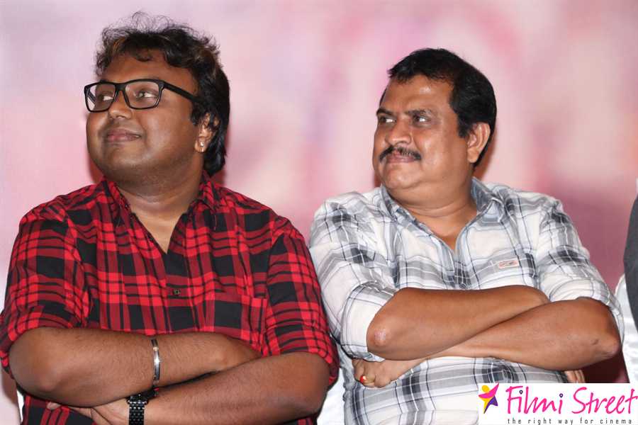 Saravanan Irukka Bayamaen Press Meet Photos (37)