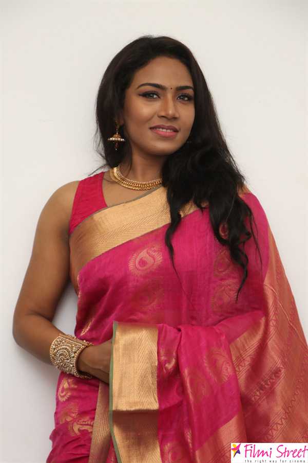 Saravanan Irukka Bayamaen Press Meet Photos (6)